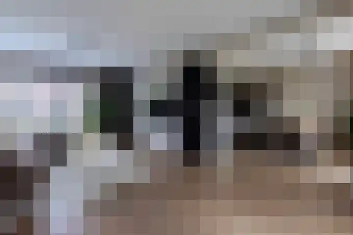 't Kempke 19 Bunde thumbnail 11