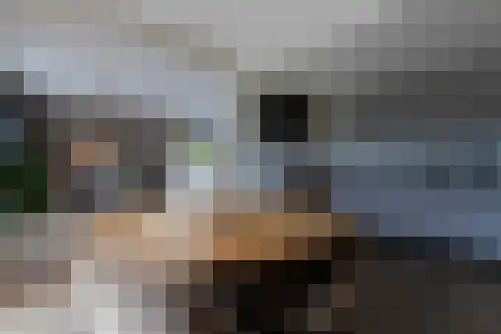 't Kempke 19 Bunde thumbnail 13