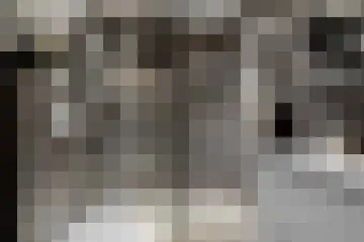 't Kempke 19 Bunde thumbnail 25