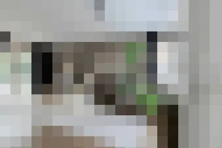 't Kempke 19 Bunde thumbnail 5