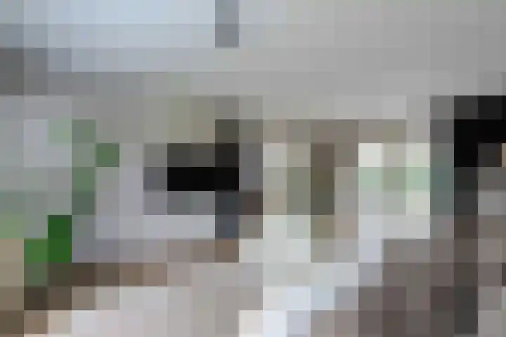 't Kempke 19 Bunde thumbnail 6