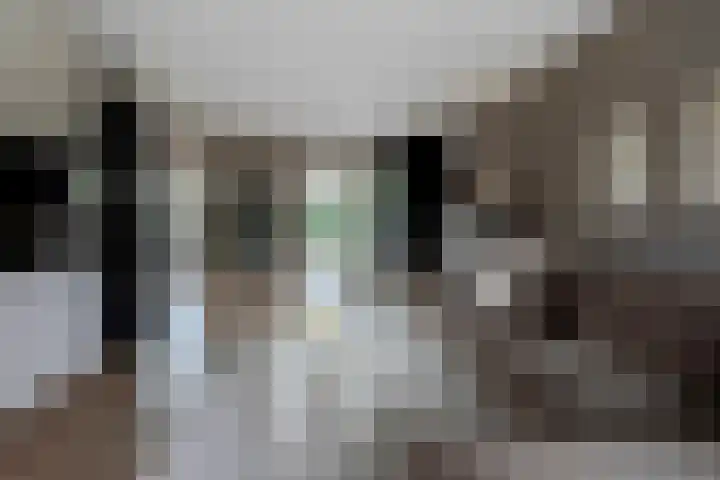 't Kempke 19 Bunde thumbnail 7