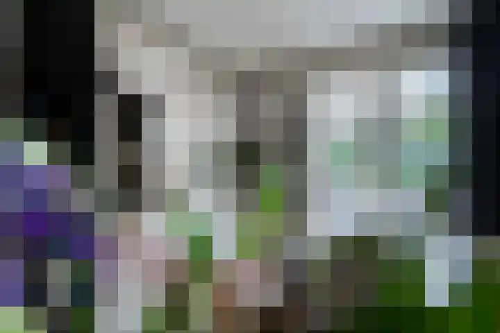't Kempke 19 Bunde thumbnail 9