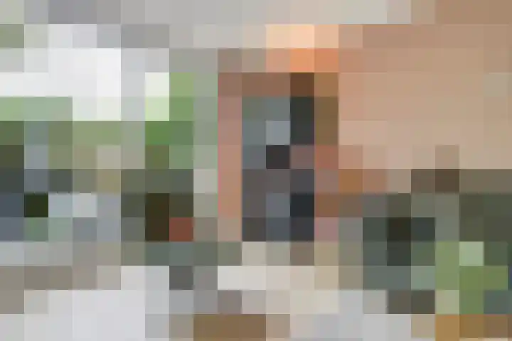 't Kempke 19 Mook thumbnail 17