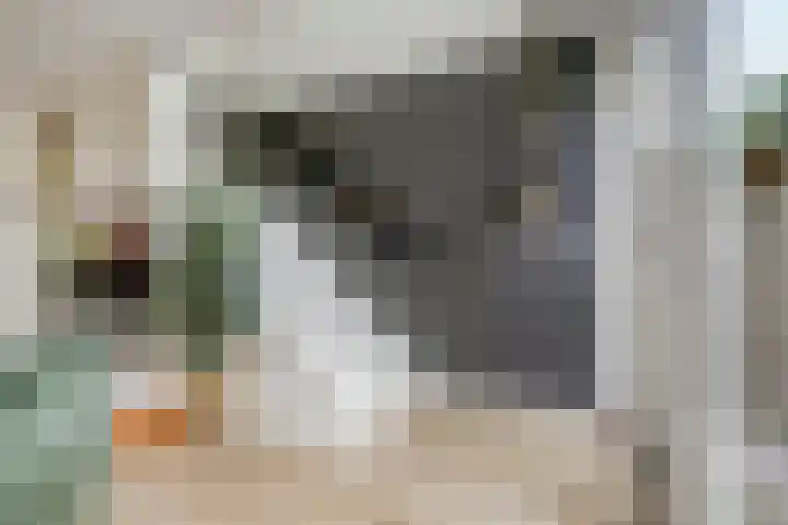 't Kempke 19 Mook thumbnail 18