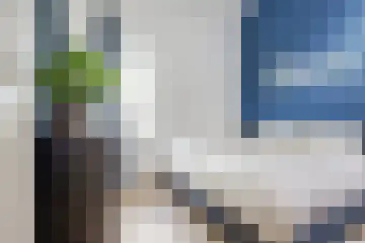 't Kempke 19 Mook thumbnail 22
