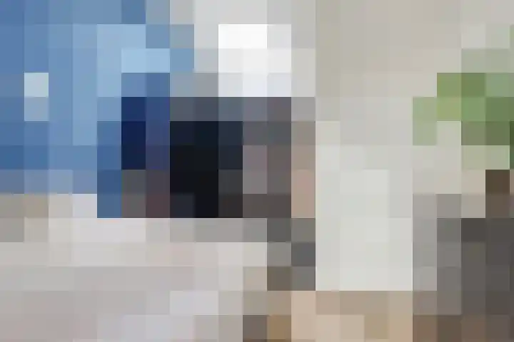 't Kempke 19 Mook thumbnail 26