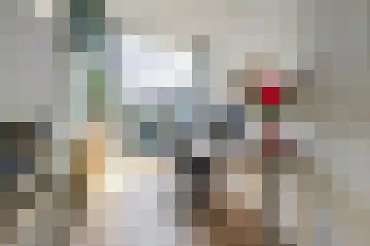 't Kempke 19 Mook thumbnail 27