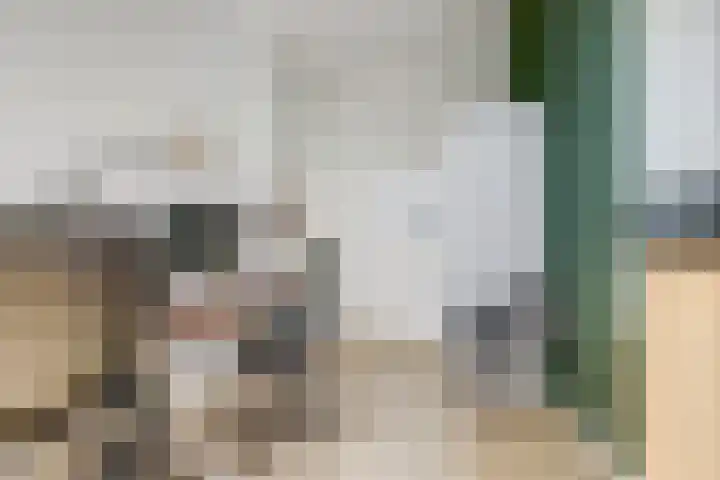 't Kempke 19 Mook thumbnail 29