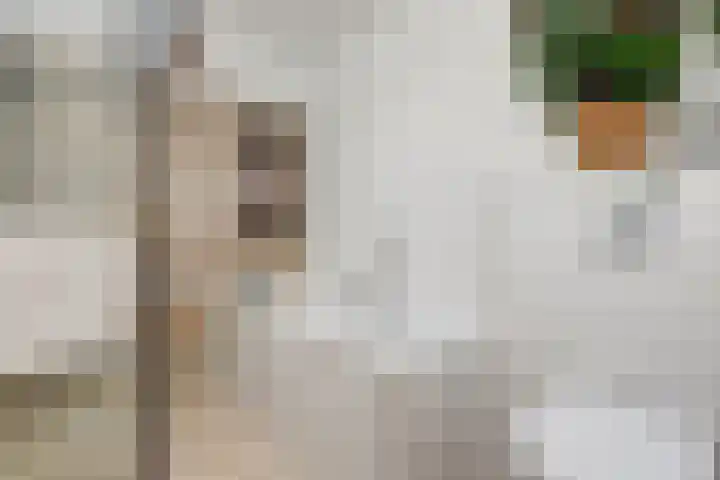 't Kempke 19 Mook thumbnail 31
