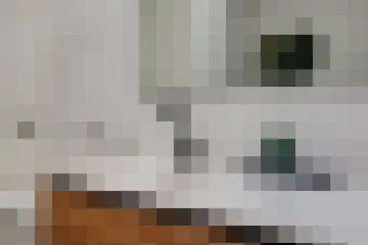't Kempke 19 Mook thumbnail 35