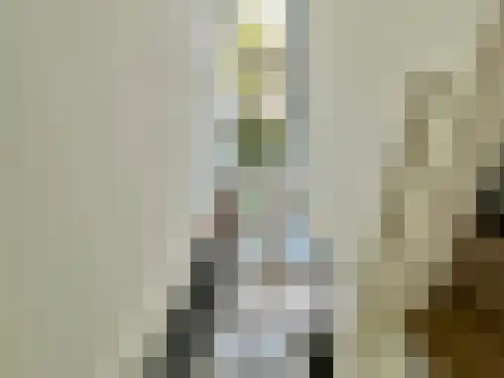 't Kempke 19 Mook thumbnail 37