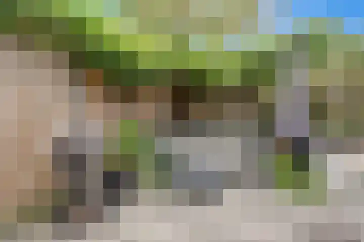 't Kempke 19 Mook thumbnail 41