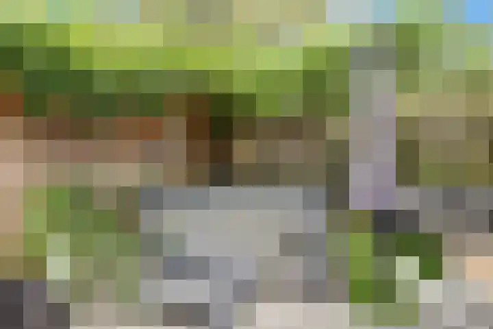 't Kempke 19 Mook thumbnail 42