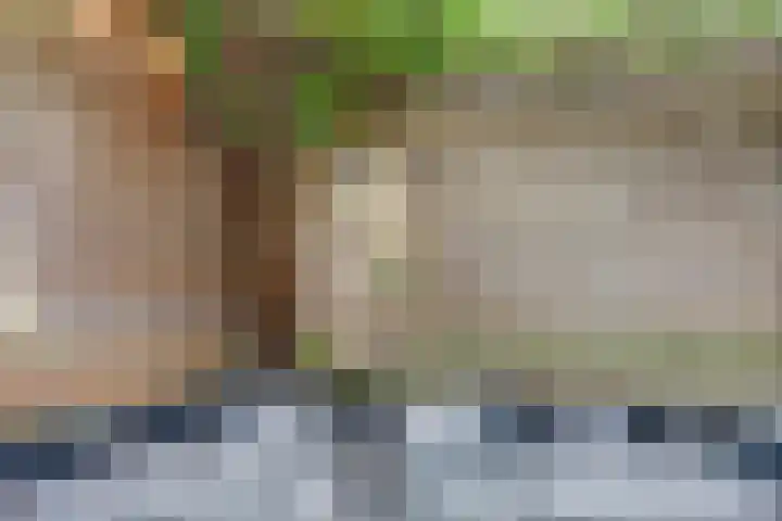 't Kempke 19 Mook thumbnail 43