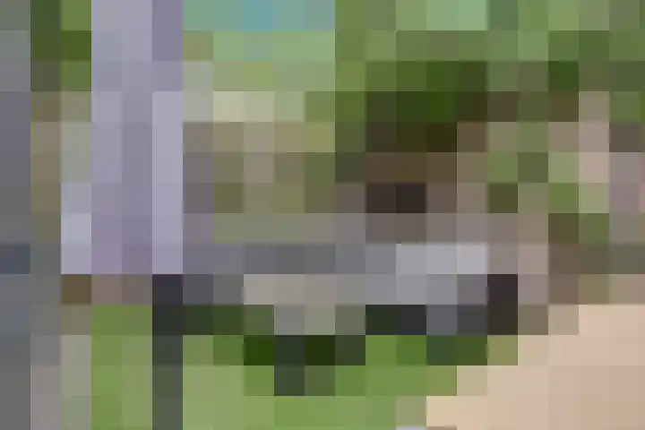 't Kempke 19 Mook thumbnail 44