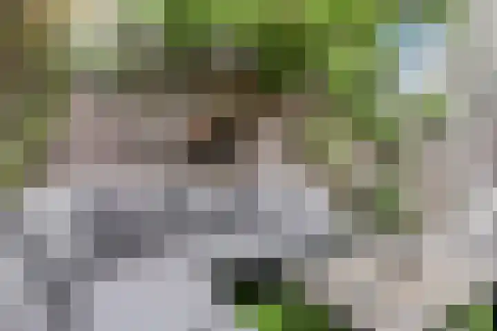 't Kempke 19 Mook thumbnail 45