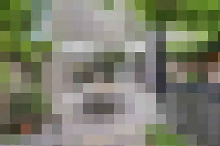 't Kempke 19 Mook thumbnail 46