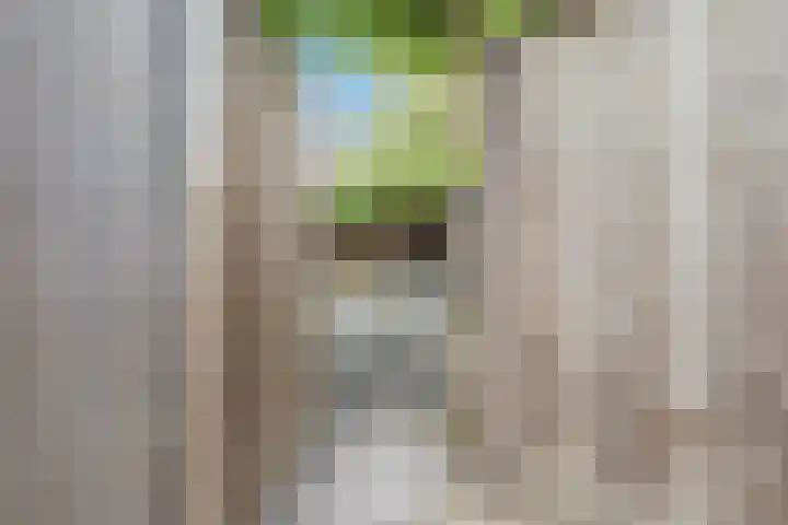 't Kempke 19 Mook thumbnail 47