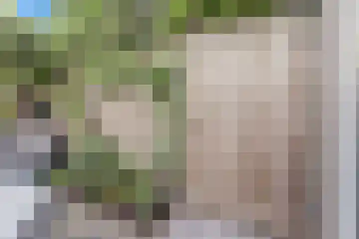 't Kempke 19 Mook thumbnail 48