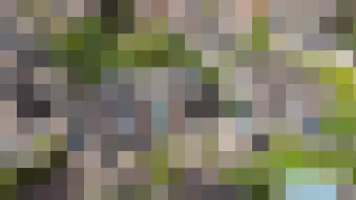 't Kempke 19 Mook thumbnail 50