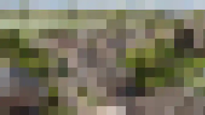 't Kempke 19 Mook thumbnail 52