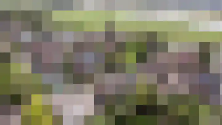 't Kempke 19 Mook thumbnail 53