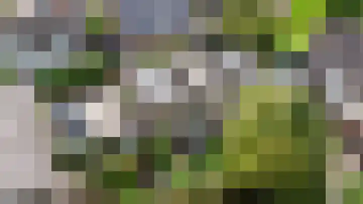 't Kempke 19 Mook thumbnail 54