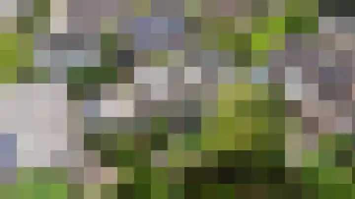 't Kempke 19 Mook thumbnail 55