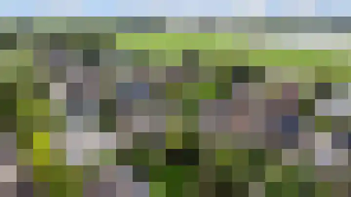 't Kempke 19 Mook thumbnail 56