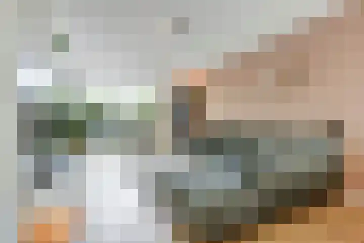 't Kempke 19 Mook thumbnail 6