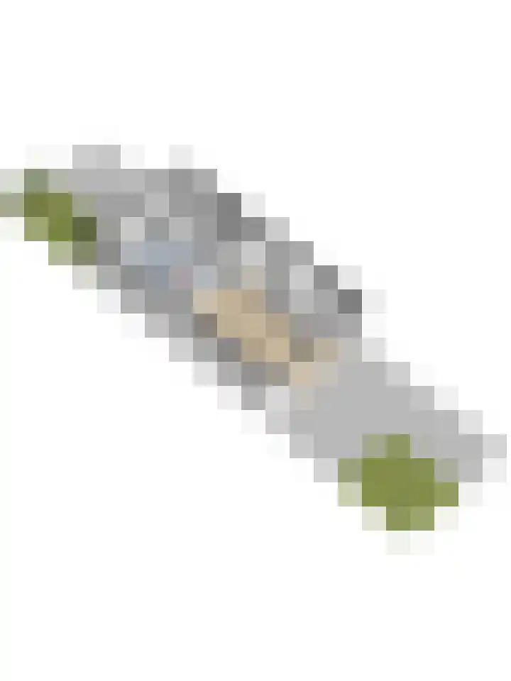 't Kempke 19 Mook thumbnail 64