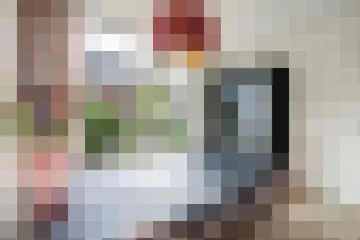 't Kempke 19 Mook thumbnail 8