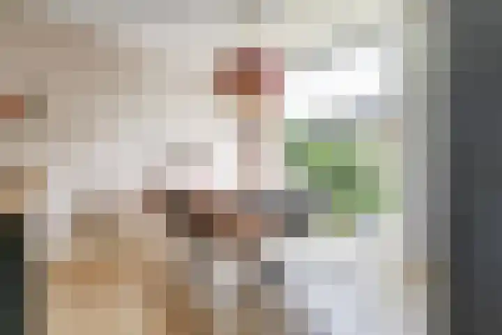 't Kempke 19 Mook thumbnail 9