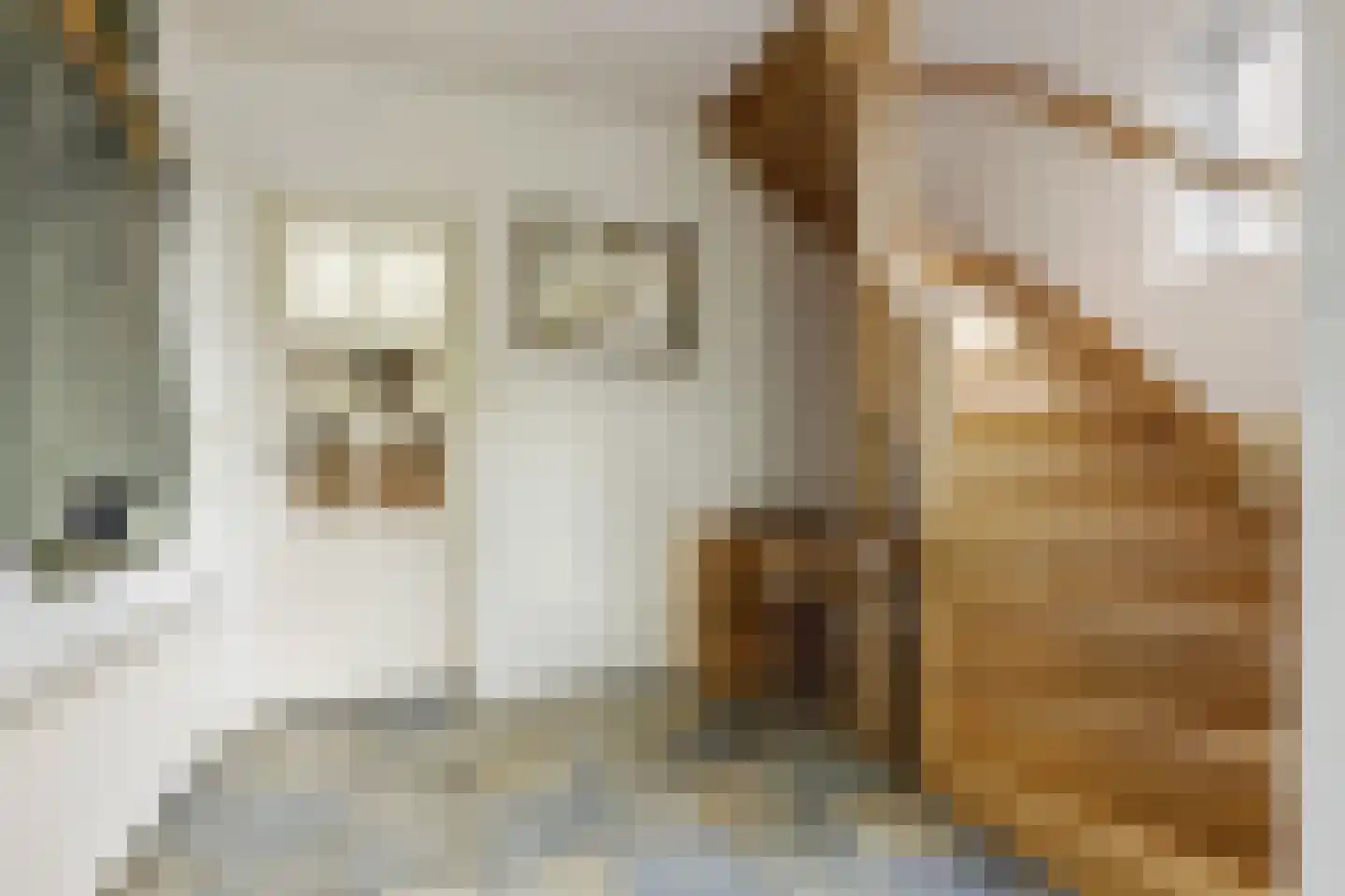 't Kempke 5 Mook thumbnail 21