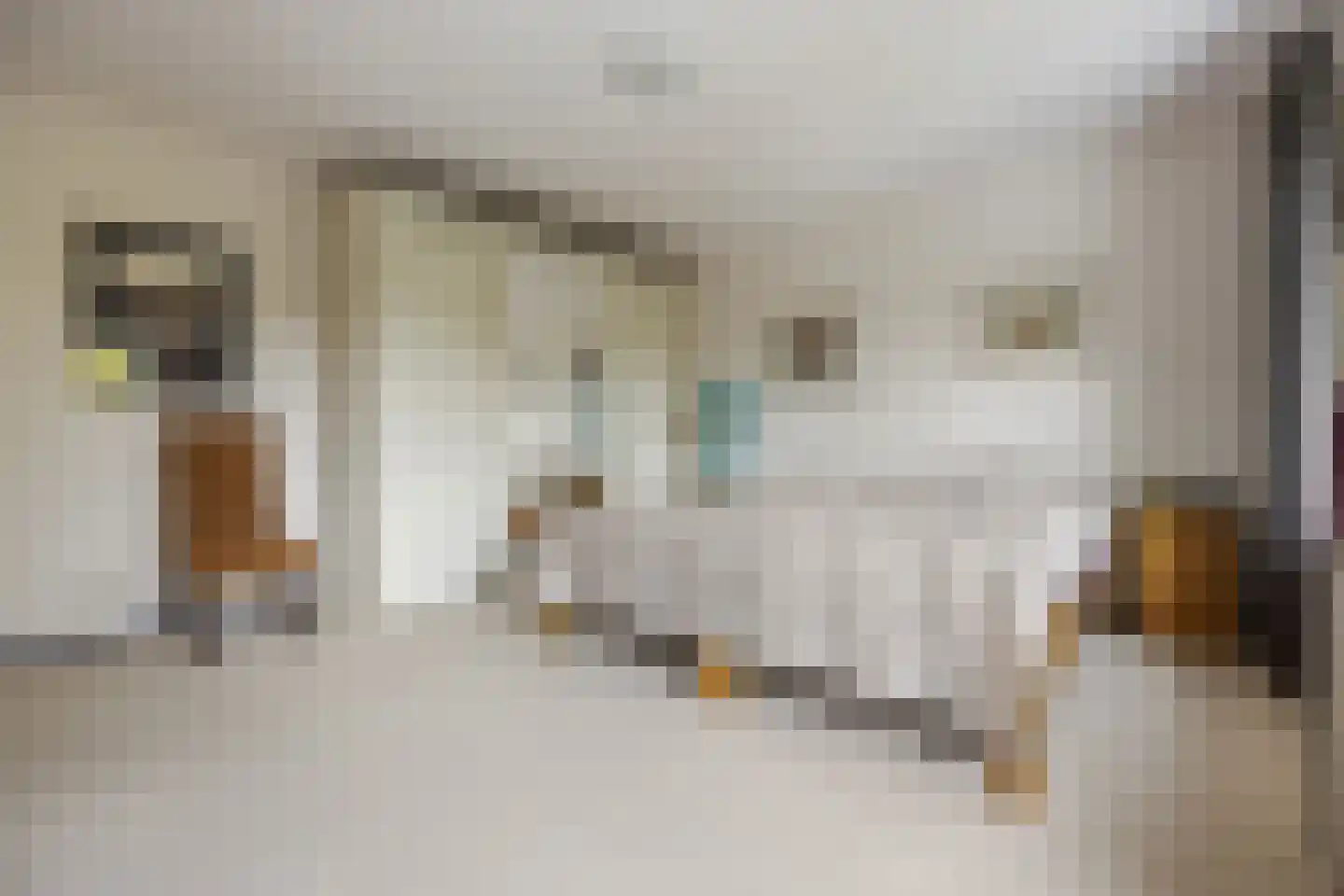 't Kempke 5 Mook thumbnail 25