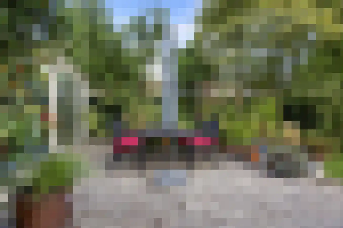 't Kempke 5 Mook thumbnail 38