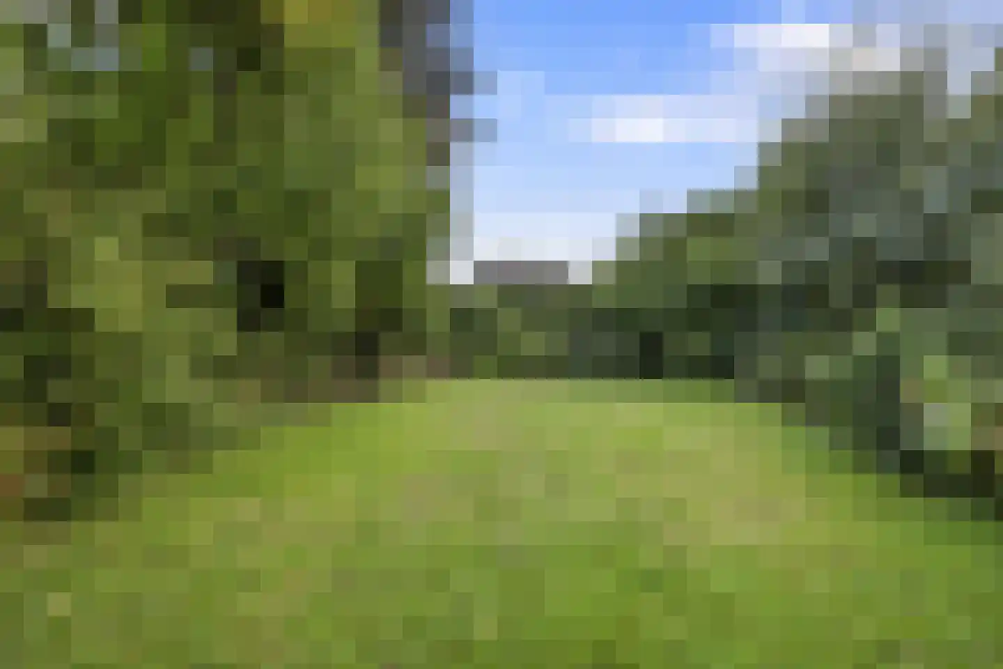 't Kempke 5 Mook thumbnail 42