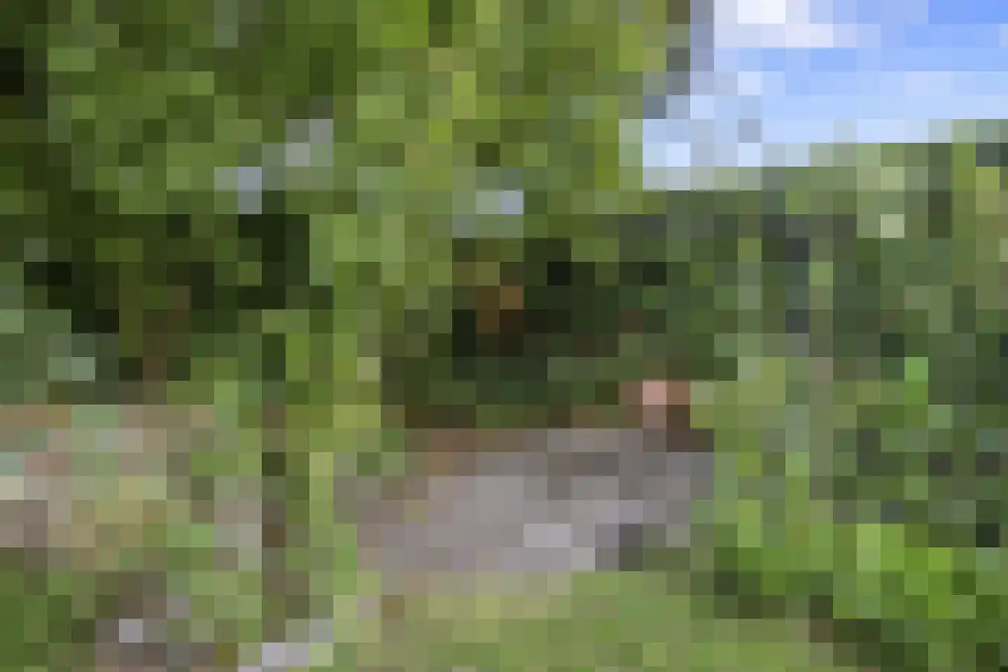 't Kempke 5 Mook thumbnail 43