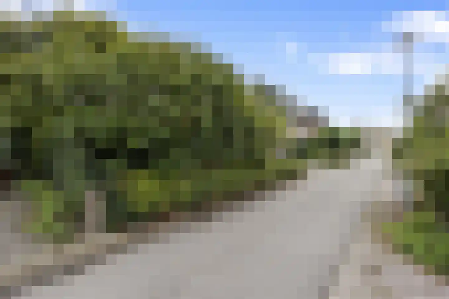 't Kempke 5 Mook thumbnail 50