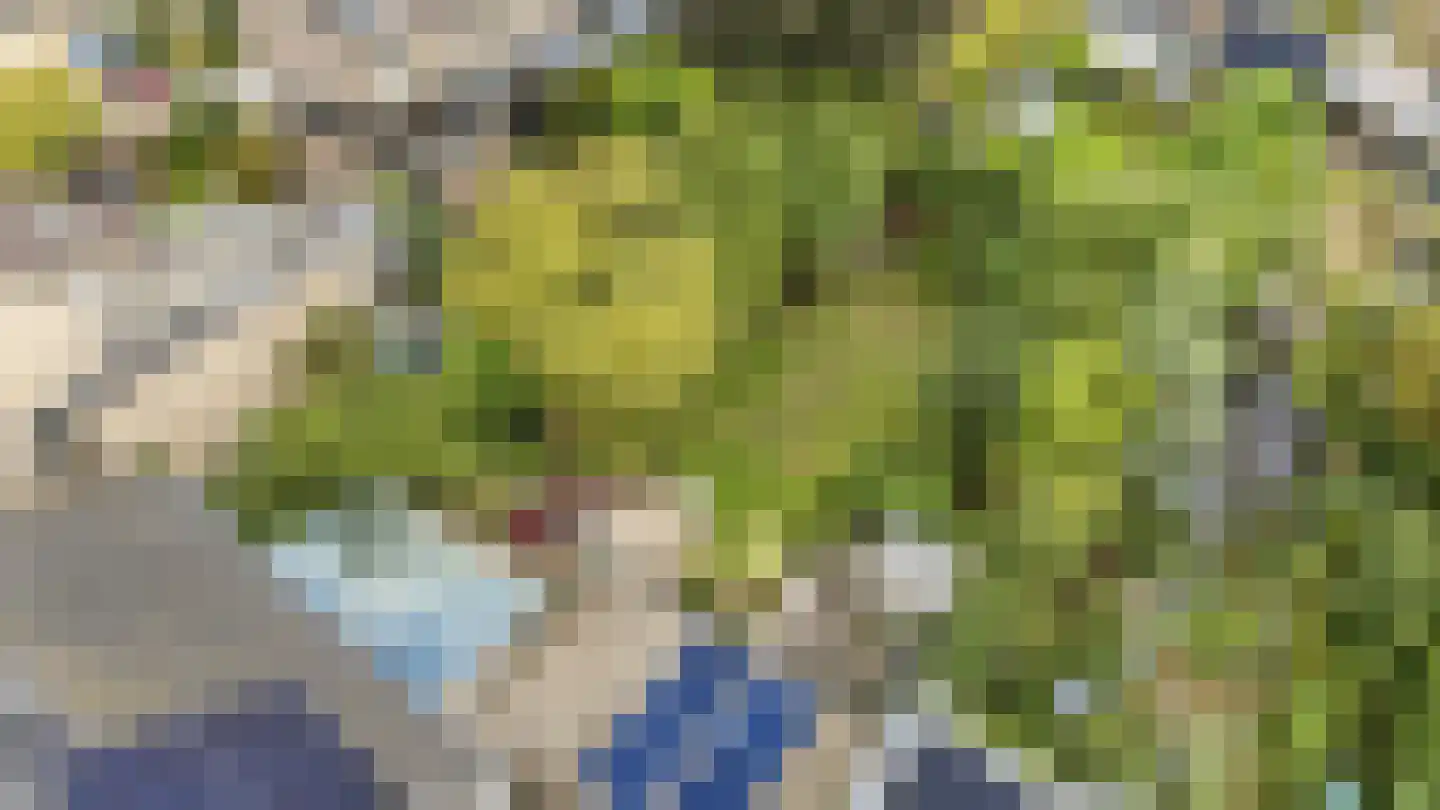 't Kempke 5 Mook thumbnail 51