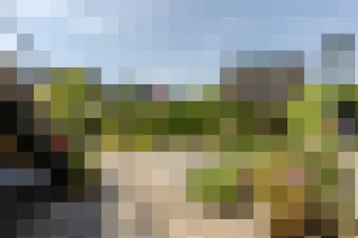 't Kerkestuk 109 Reeuwijk thumbnail 13