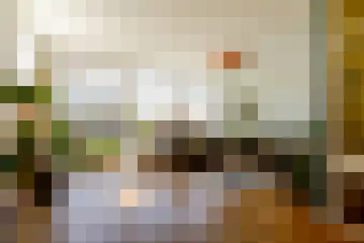't Kerkestuk 109 Reeuwijk thumbnail 16