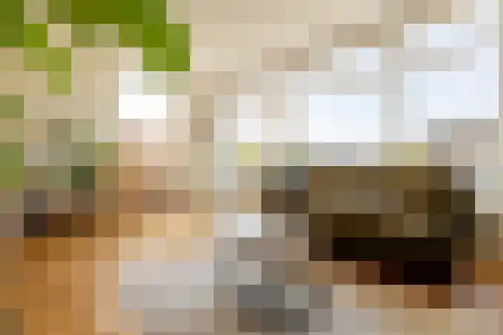 't Kerkestuk 109 Reeuwijk thumbnail 18