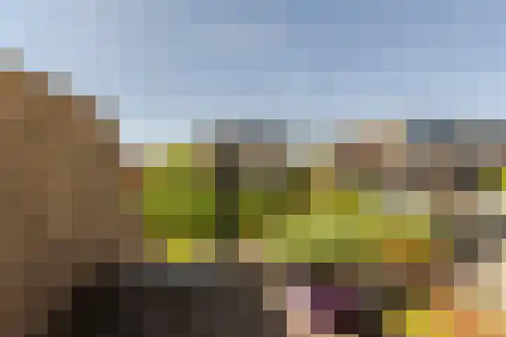 't Kerkestuk 109 Reeuwijk thumbnail 19