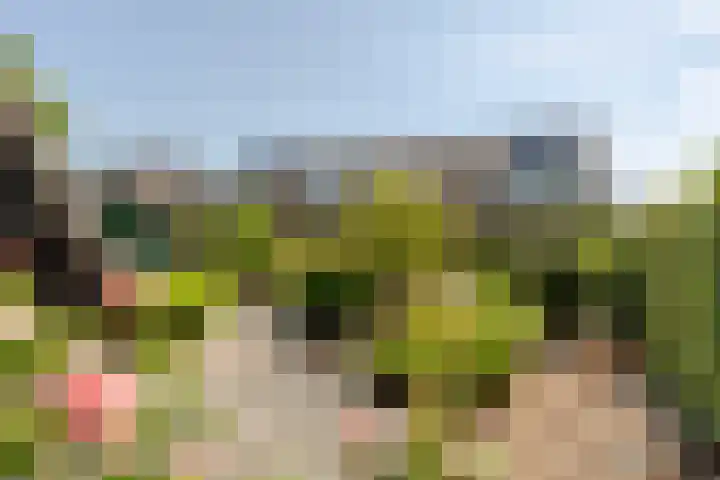 't Kerkestuk 109 Reeuwijk thumbnail 40