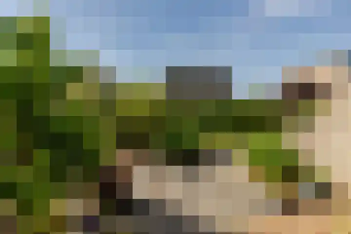 't Kerkestuk 109 Reeuwijk thumbnail 44