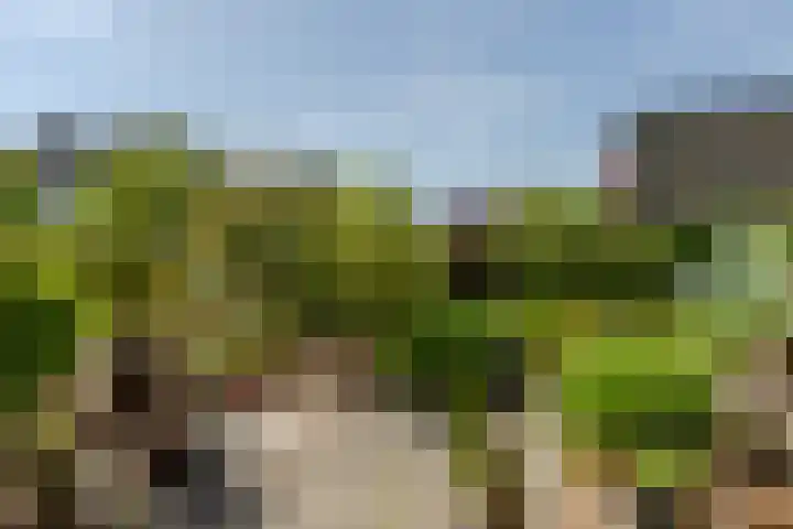 't Kerkestuk 109 Reeuwijk thumbnail 45