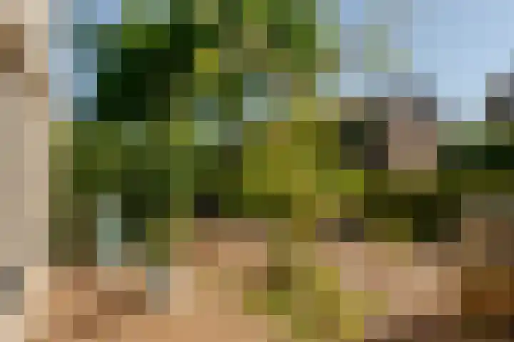 't Kerkestuk 109 Reeuwijk thumbnail 46
