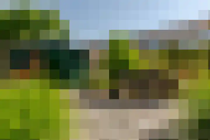 't Kerkestuk 109 Reeuwijk thumbnail 48